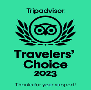 golf cart tour rome 5